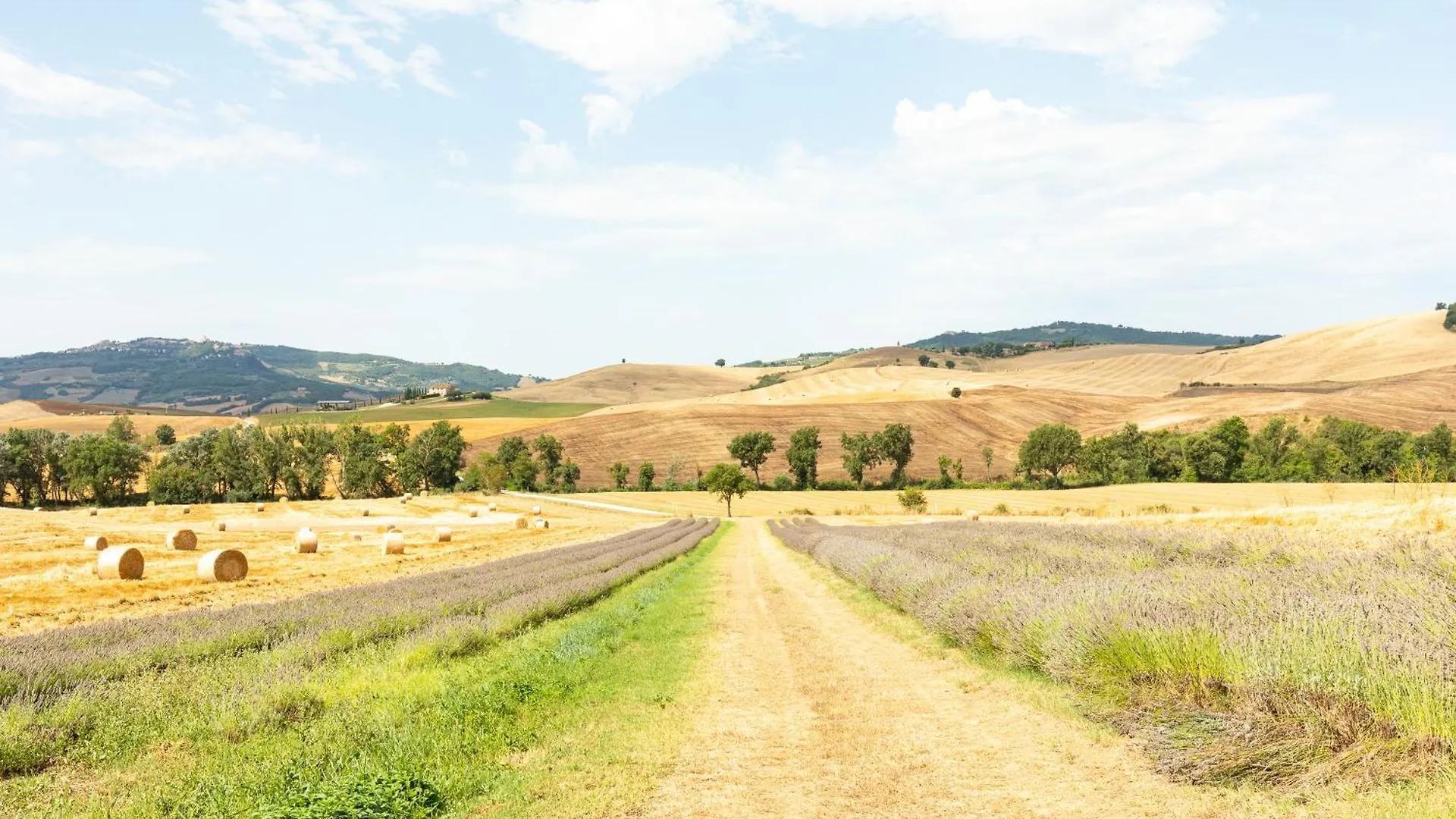 Agriturismo Selvoli - La Scuola Pienza Italy