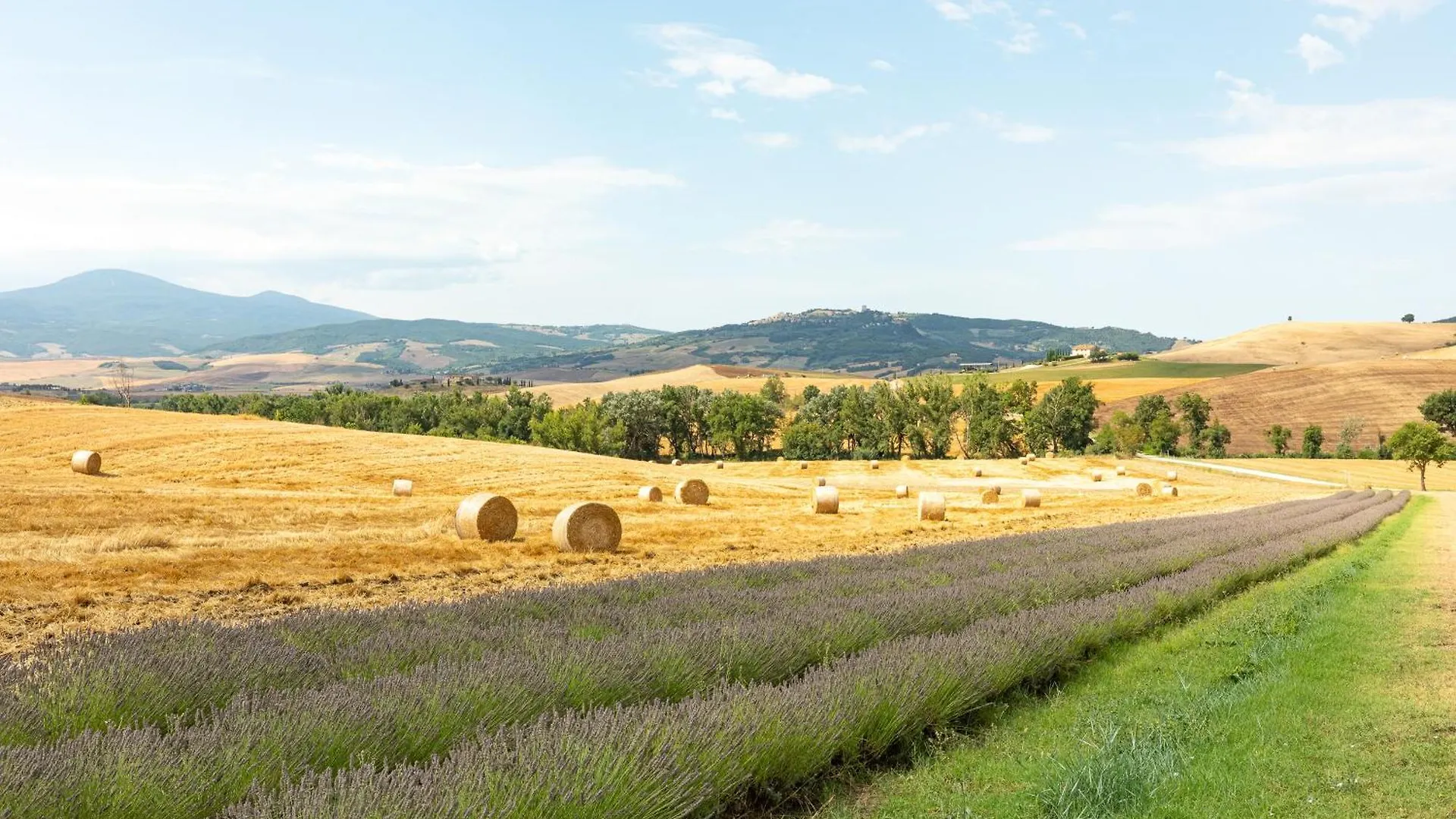Agriturismo Selvoli - La Scuola Pienza Farm stay